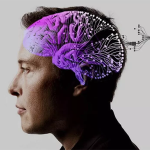 پروژه نورالینک و آزمایش‌های حیوانی ایمپلنت مغزی